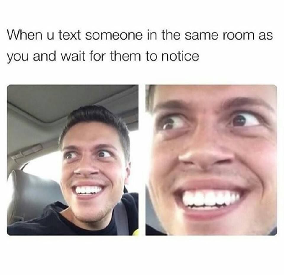 And They Couldn t Care Less LolSnaps