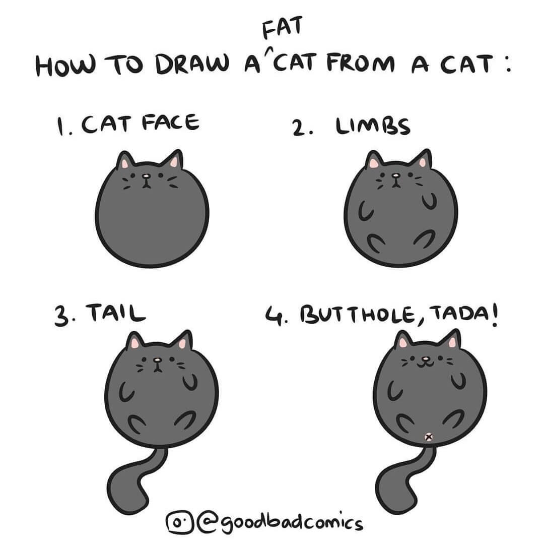 Draw drew drawn перевод на русский. Кэт фром. Толстый кот Мем. Кэт нот фейс. How Cat.